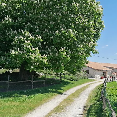 Feriehus Le Marronnier - - 10 Personnes - A La Campagne A 3 Kms Du Centre-ville