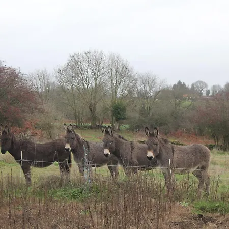 Le Marronnier - - 10 Personnes - A La Campagne A 3 Kms Du Centre-ville Feriehus *