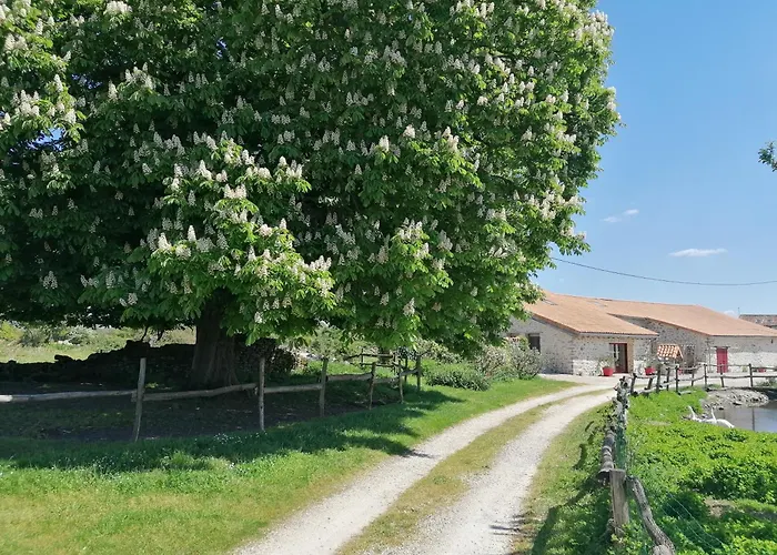 Сasa de vacaciones Le Marronnier - - 10 Personnes - A La Campagne A 3 Kms Du Centre-ville